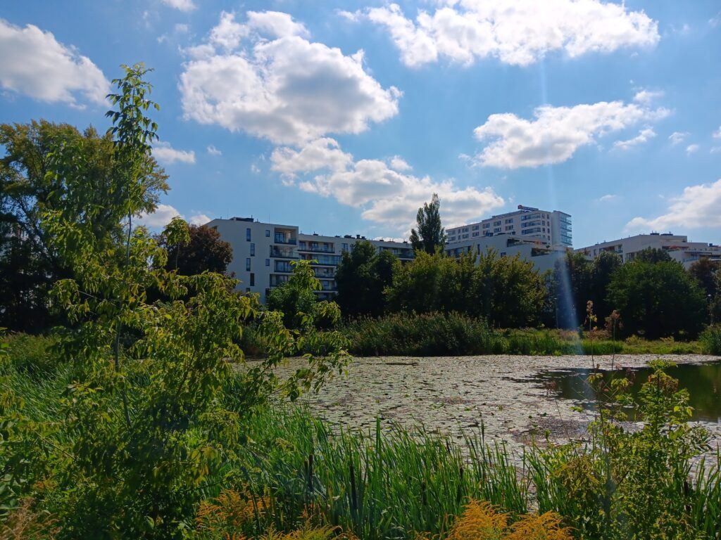 The Green Lake (Jezioro Gocławskie)